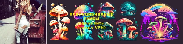 твердый Майский