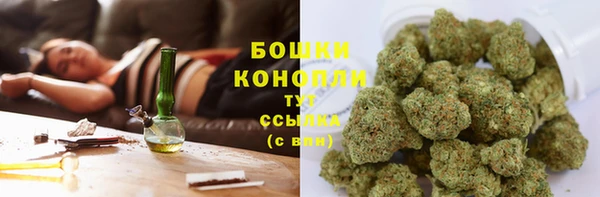 дживик Верея
