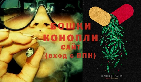 сатива Магас