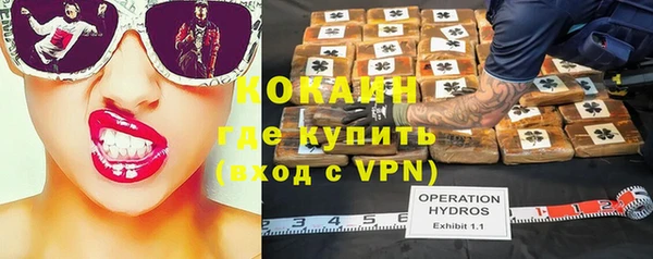 дживик Верея
