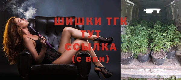 дживик Верея